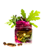 Krem HIBISKUS + PĄKI TOPOLI 3 ml